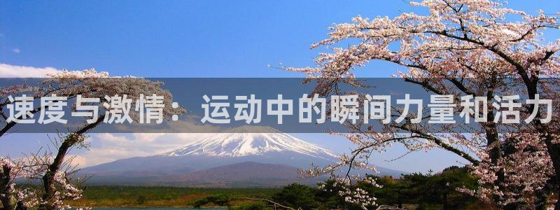 一竞技官网下载平台是正规平台吗:速度与激情:运动中的瞬间力量