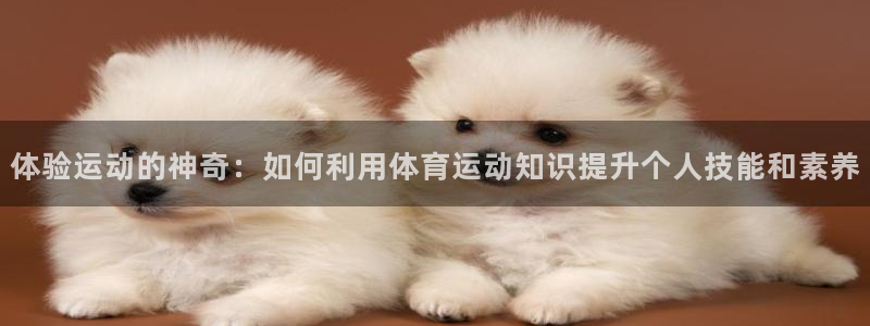 一竞技官方正版app娱乐代理怎么样:体验运动的神奇:如何利用