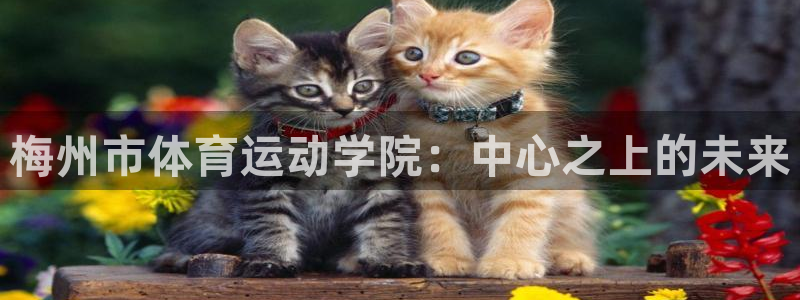 海南一竞技官网下载发展怎么样:梅州市体育运动学院:中心之上的