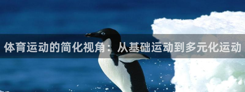 一竞技官网下载平台是正规平台吗:体育运动的简化视角:从基础运
